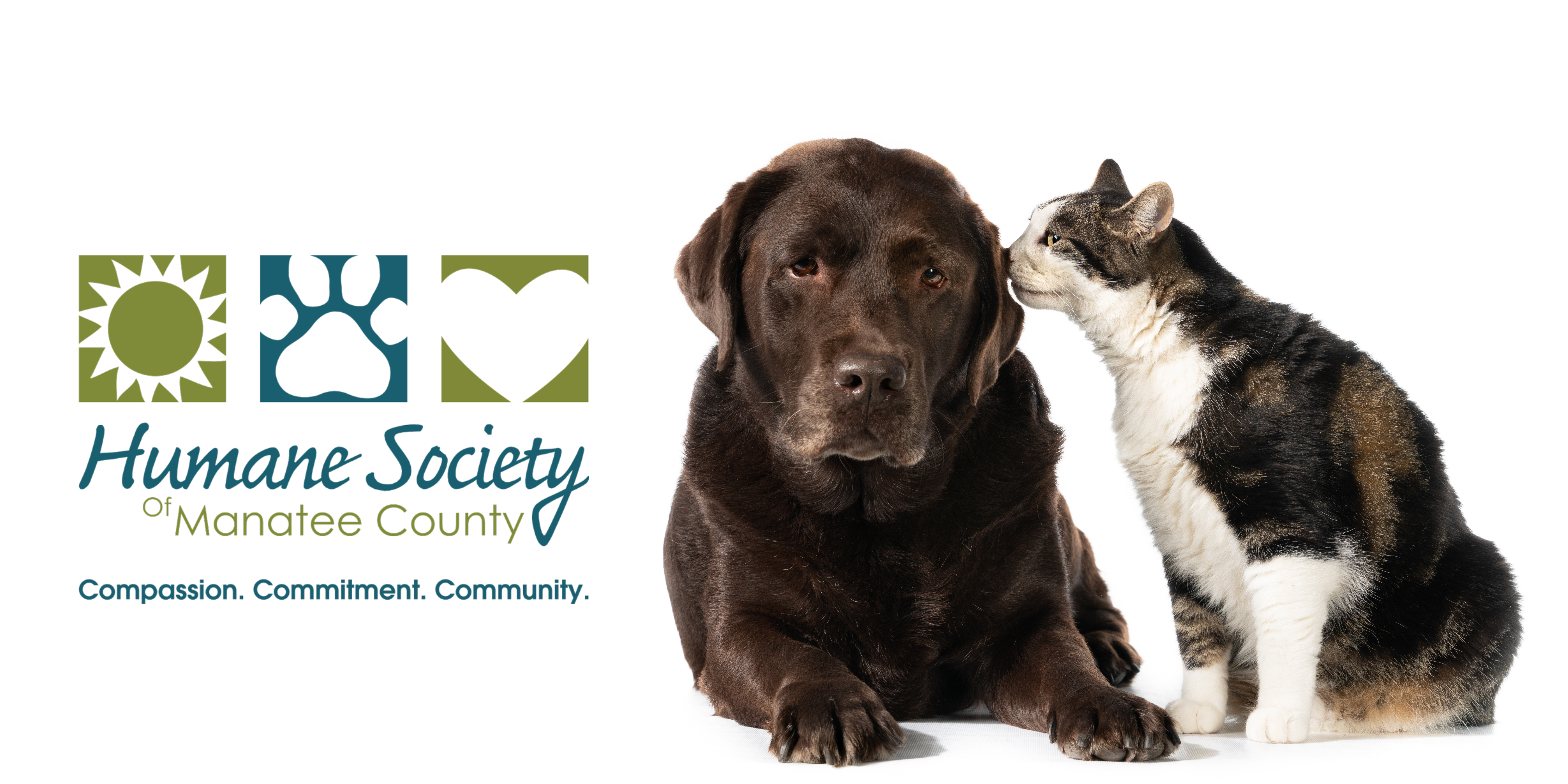 The Humane Society of Manatee County: A Beacon of Compassion and Care